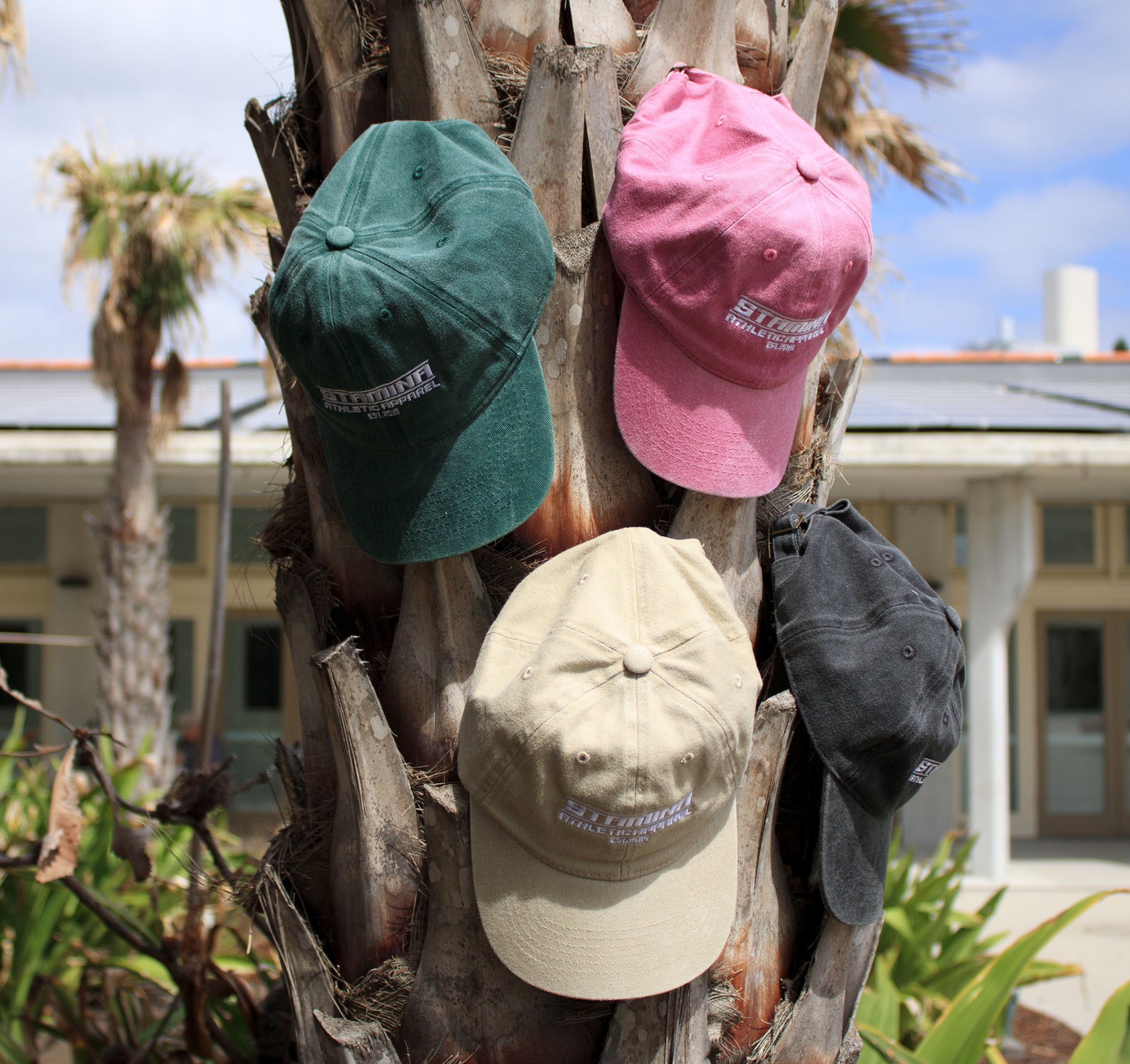 Essential Cap